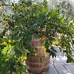 Vilă Armonia Neochori (Magnesia)