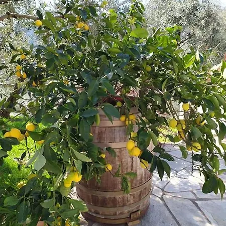 Вилла Armonia Neochori (Magnesia)