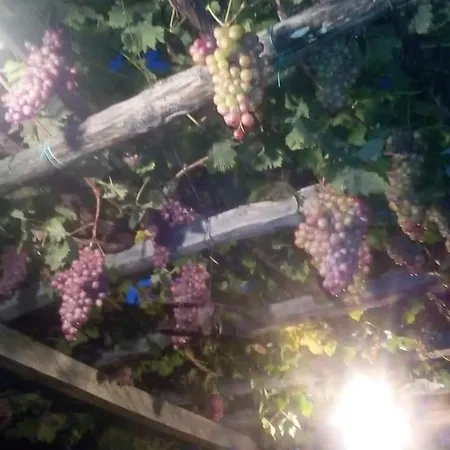 Armonia Villa Neochori (Magnesia)