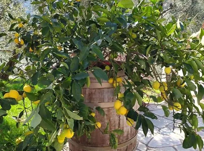 Villa Armonia Neochori (Magnesia)