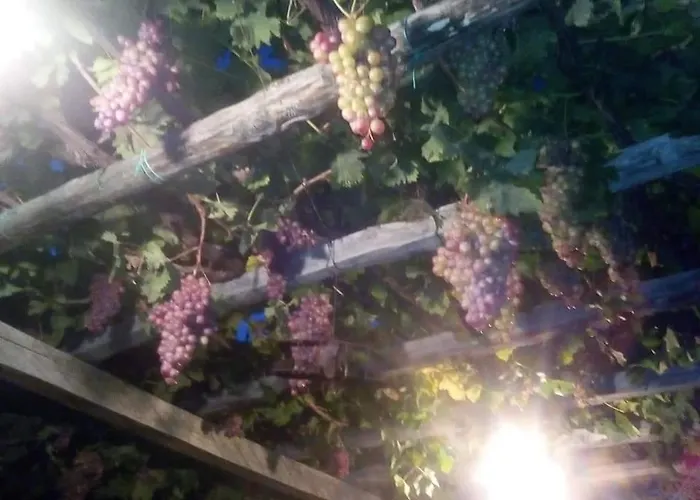 Armonia Villa Neochori (Magnesia)