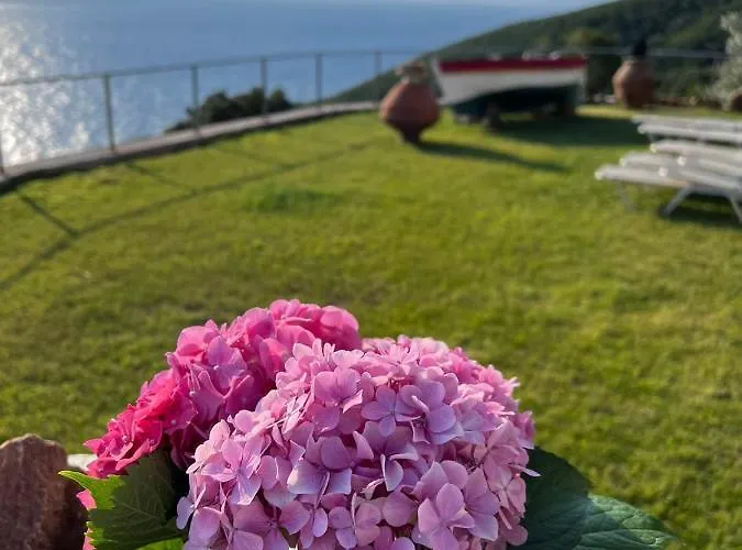 Armonia Neochori (Magnesia)